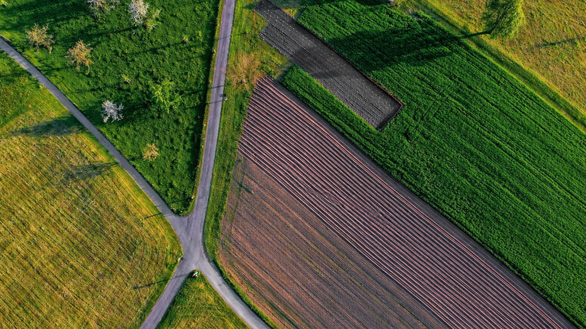 Ontmoedigen kortlopend pachten.jpg