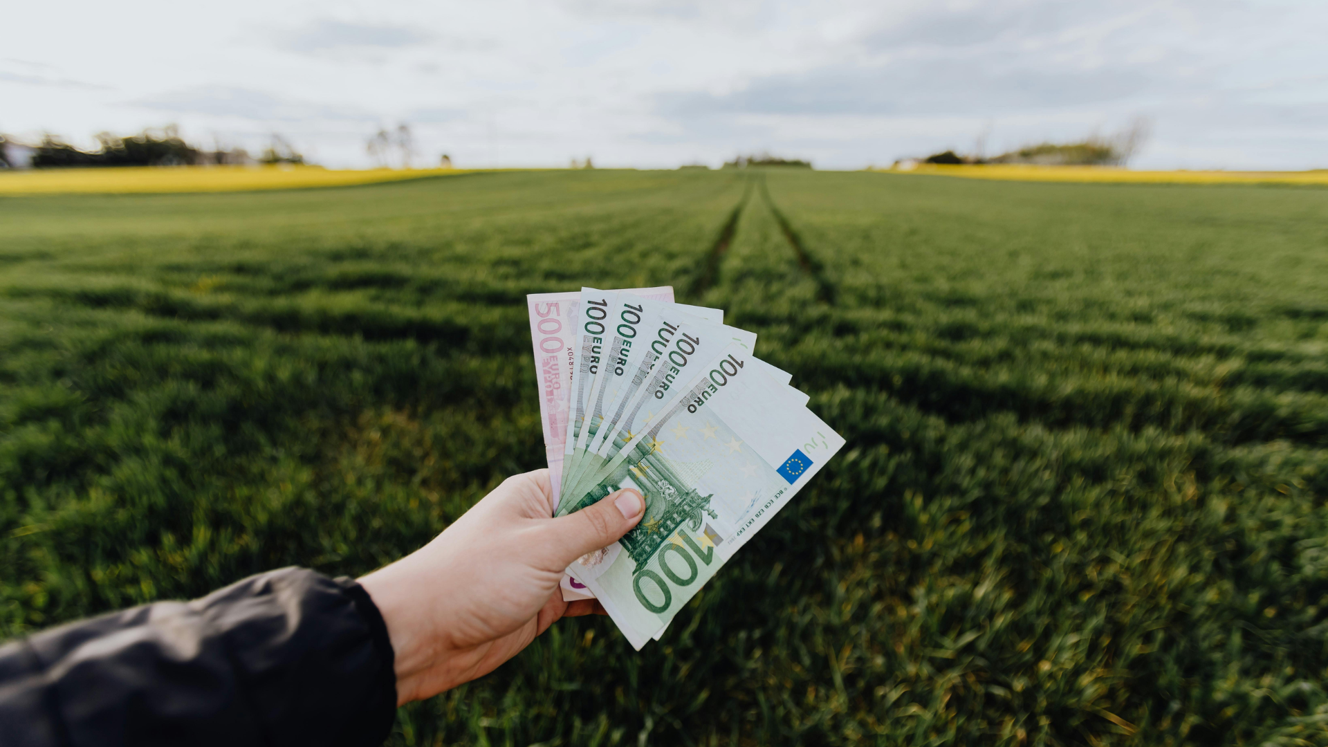 Inkomsten hoofdzakelijk van één opdrachtgever geen sprake van winst.png