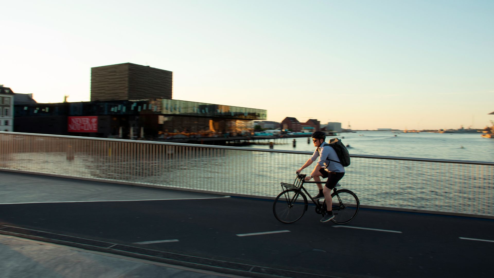 Advieswijzer Fiets van de zaak.jpg